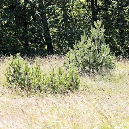 0276-romo-p-maersk-mollers-vej-4-b Rømø Kirkeby