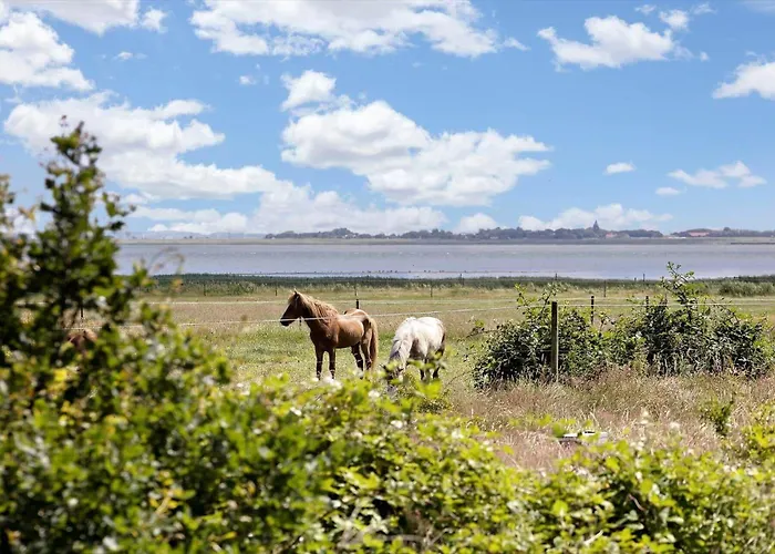 Holiday home 0276-romo-p-maersk-mollers-vej-4-b