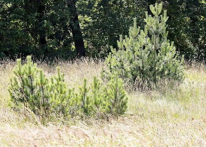 0276-romo-p-maersk-mollers-vej-4-b Romo Kirkeby